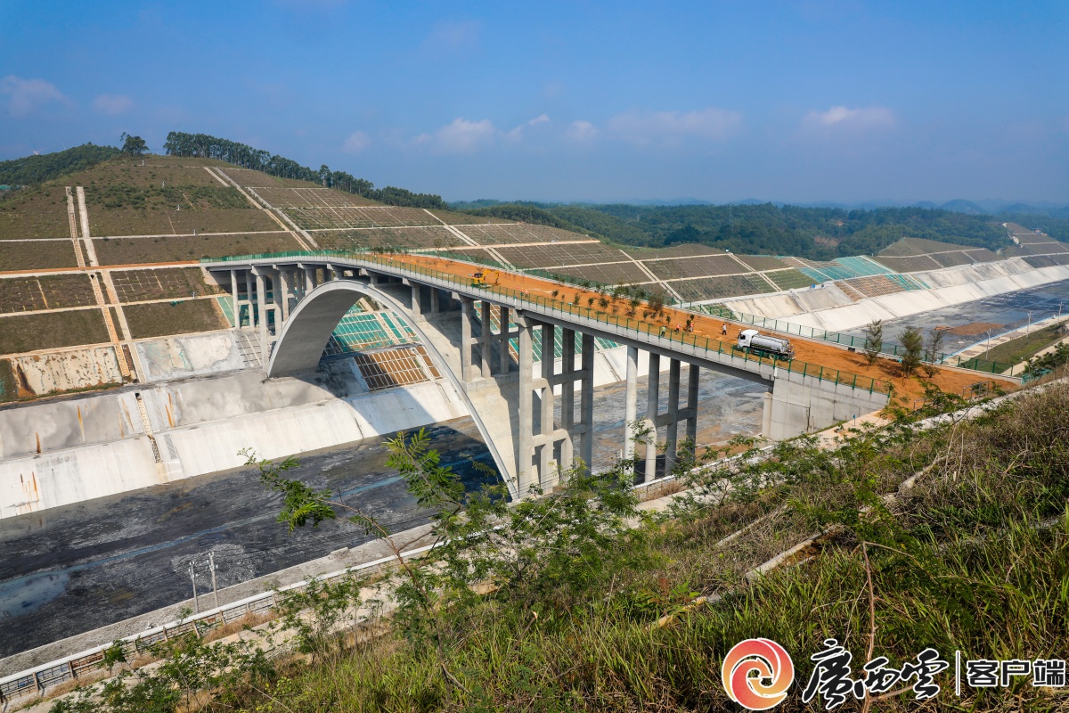 平陆运河野生动物专属通道桥开始种植树木